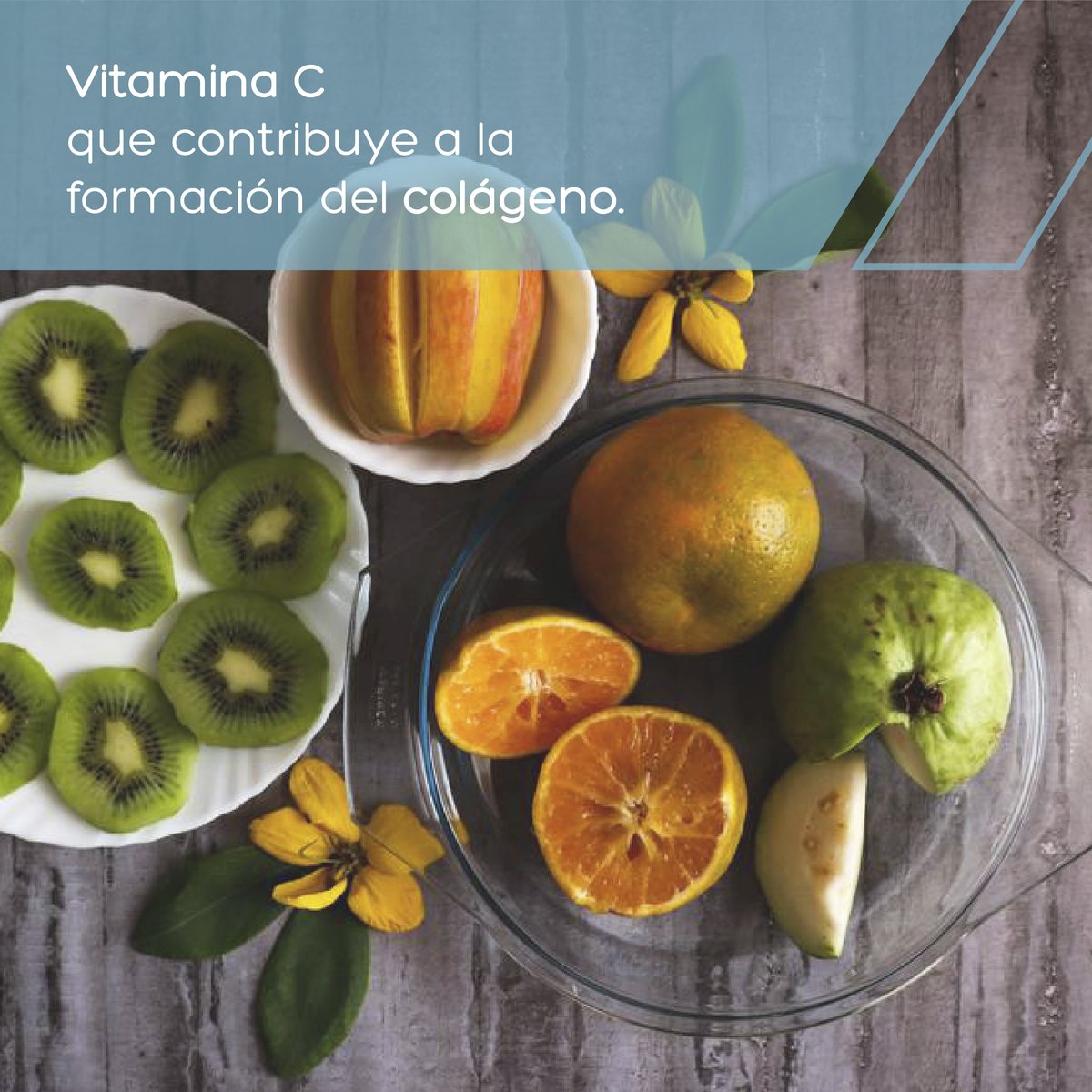 viscobasic's tweet photo. La producción de #colágeno natural disminuye en el #cuerpo con el paso del tiempo. Es importante el #consumo de #Vitamina C👉Que se encuentra de manera natural en algunos alimentos, aunque también se puede sintetizar a nivel de laboratorio. https://t.co/MNWRcbQkXW