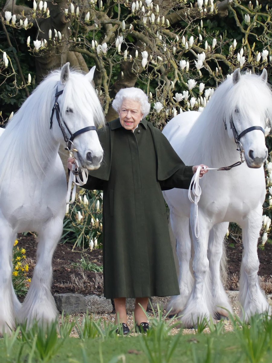 MickyBell tweet media