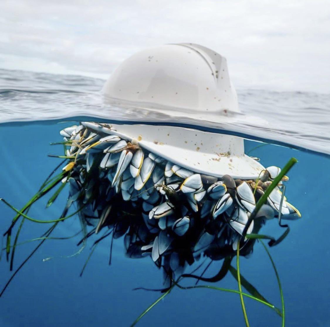 BtpPorn's tweet image. Règle n2 sur un chantier : La sécurité avant tout 👷‍♀️👷‍♂️🚧🏗

Règle n1 : multiplier x2 le devis si le client a une grosse baraque💪