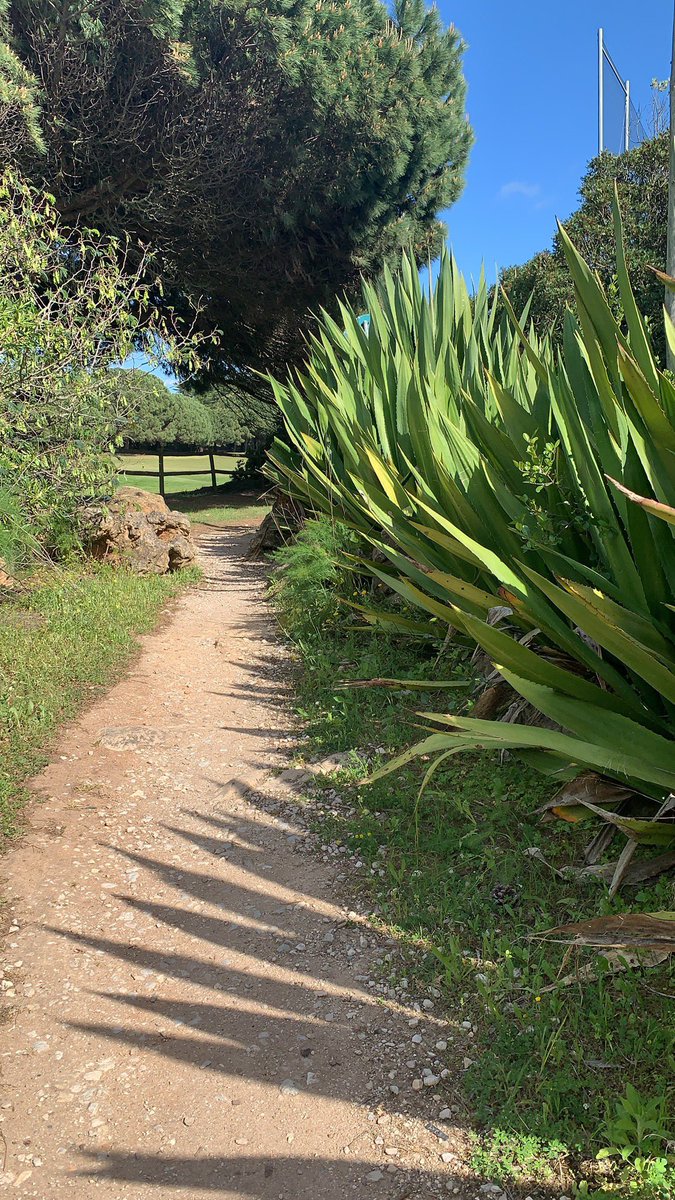 machongchan's tweet photo. I eventually got across to build a path for myself from my golf court. https://t.co/0h62bVEsPT