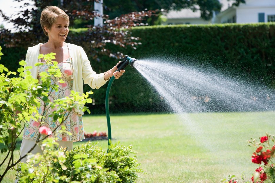 Looking ahead to summer, after 8pm is the optimum time to water, as the grass has all night to use the water better. 
But remember too that grass is one tough cookie of a plant & however dry it gets, it will eventually recover in time, even without much watering!
#LawnAssociation https://t.co/MnY8wC6McM