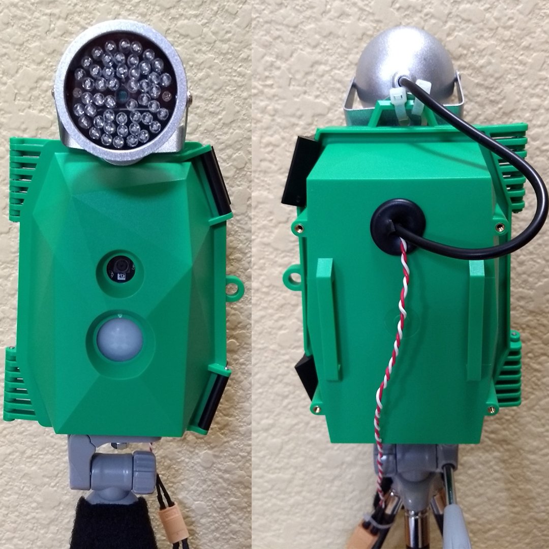 naturebytesuk's tweet photo. #naturebytes in action 🦊

One naturebytes user has modified their Wildlife Camera Kit so that it has night vision capabilities!

Read their blog to find out how - https://t.co/1vCL7LUxVX https://t.co/7V2SOTs9rk