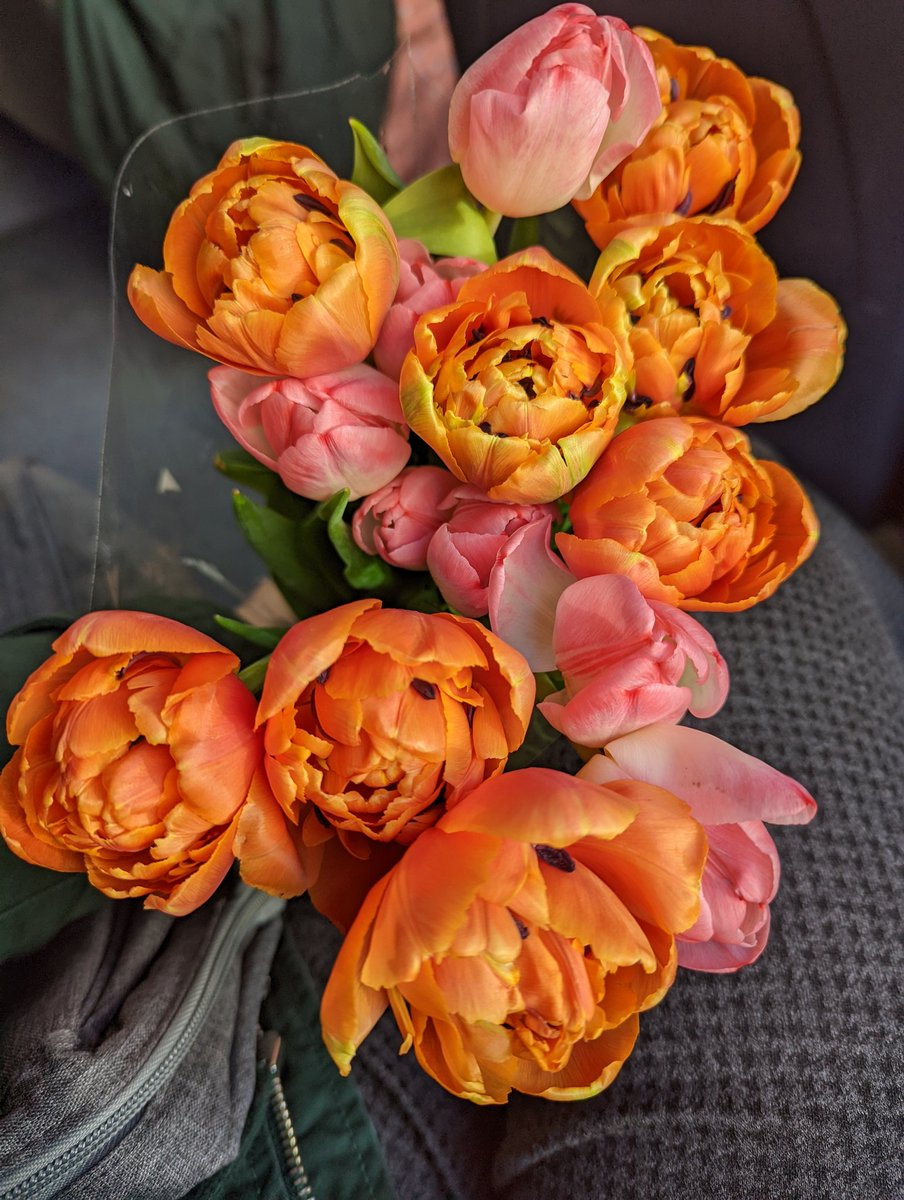 Vio_Hlsg's tweet image. These cuties are on their way to a special lady, to bring her some extra love and appreciation. 
An authentic example of professionalism, kindness and character elegance for everyone around her. #gratitude #makesomeonesday #nhsvalues @Leic_hospital @ElectiveLgh @UHLJ2E @ncsemem