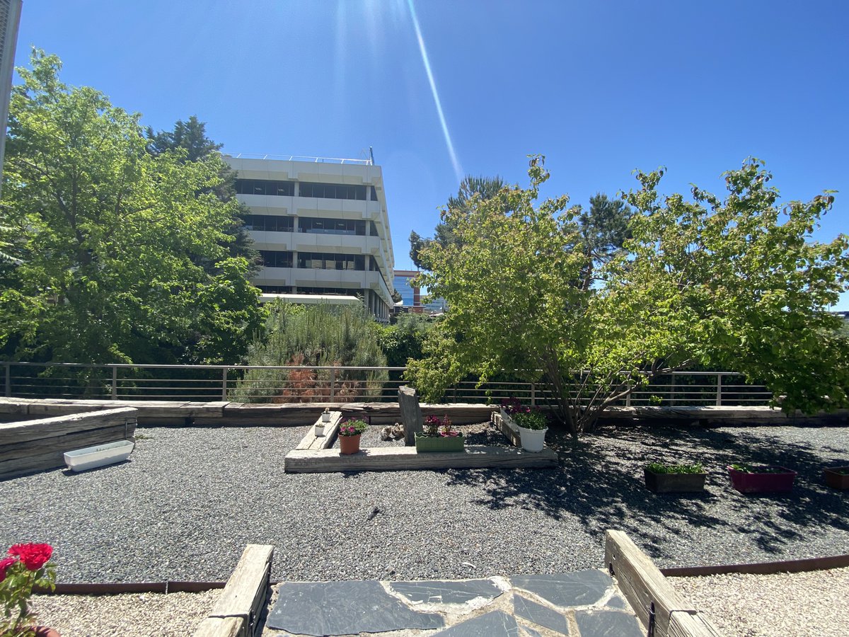 NetworkiaBC's tweet photo. Un lugar perfecto para pensar, con las mejores vistas. 🌿

#terraza #moraleja #networkia #coworking #flexoffice #goodviews #madrid https://t.co/x1DQuftIn8