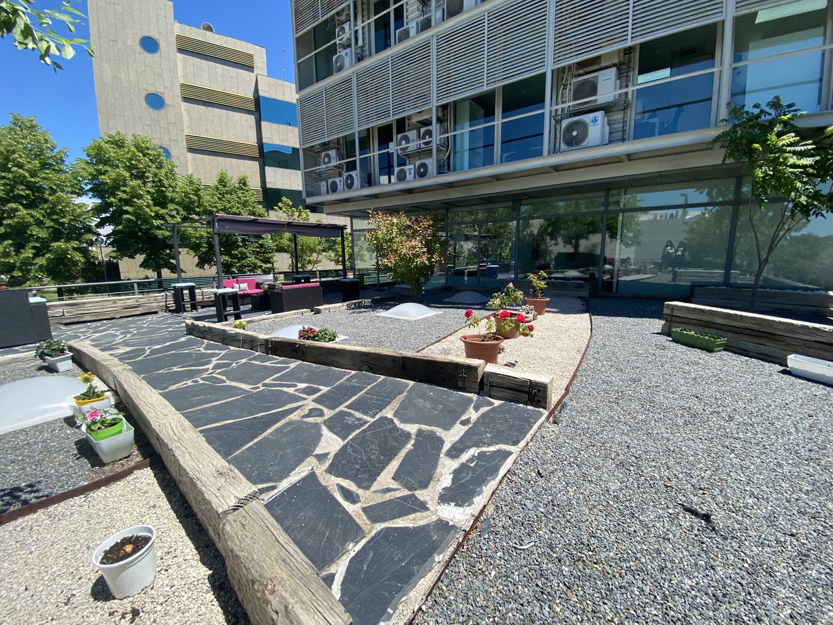NetworkiaBC's tweet photo. Un lugar perfecto para pensar, con las mejores vistas. 🌿

#terraza #moraleja #networkia #coworking #flexoffice #goodviews #madrid https://t.co/x1DQuftIn8