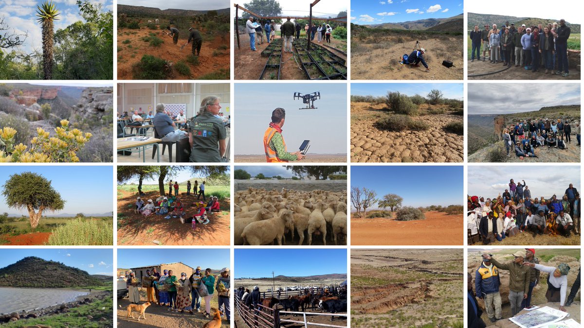 Key reflections from our final project meeting:
👩‍🌾Behaviour change -> community action for #SLM adoption
🐞#Youth = agents of change
🌱#localknowledge &amp; #science is NB for understanding
🇿🇦Long-term sustainability = presence in landscape

<a href="/UNDPSouthAfrica/">UNDP South Africa</a> <a href="/environmentza/">Environmentza</a>