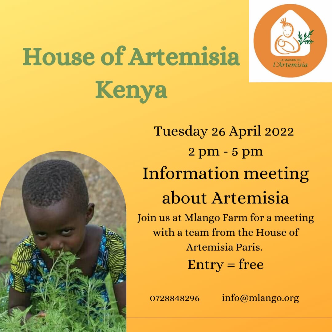ArtemisiaMaison's tweet photo. The team of @ArtemisiaMaison  France will be in #Kenya at the end of April - beginning of May to meet all its partners who are developing #Artemisia to fight against malaria 🌿
Come and meet us near #Nairobi, in #Kitale, #Webuye and #Tongaren https://t.co/7qvjYExFbO