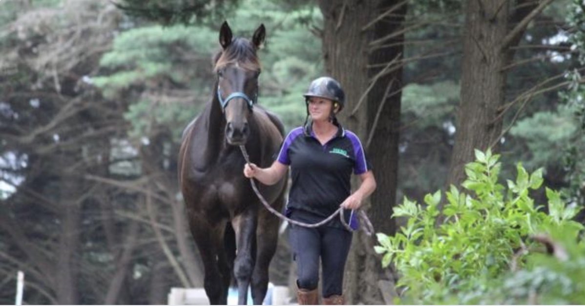 beyondracingtb's tweet photo. Beyond Racing co-founder Lou Abey is now also retraining &amp; rehoming Standardbreds with @HRVHERO 👏🏼👏🏼👏🏼
https://t.co/Buc1qObXhK https://t.co/rzKKmmNg5r