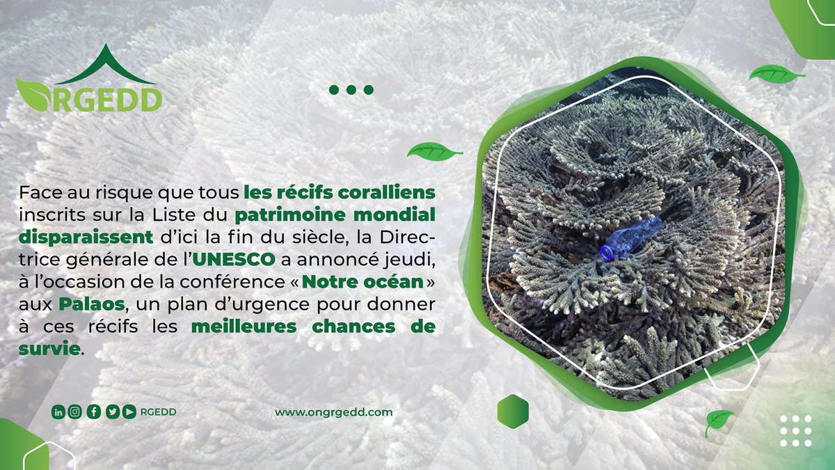 ONGRGEDD's tweet photo. A l’occasion de la conférence « #Notreocéan », la directrice générale de l’#UNESCO a annoncé jeudi dernier, aux Palaos, un plan d’urgence pour lutter face au risque que tous les #récifs #coralliens disparaissent d’ici la fin du siècle. https://t.co/OGJvGjWqDn