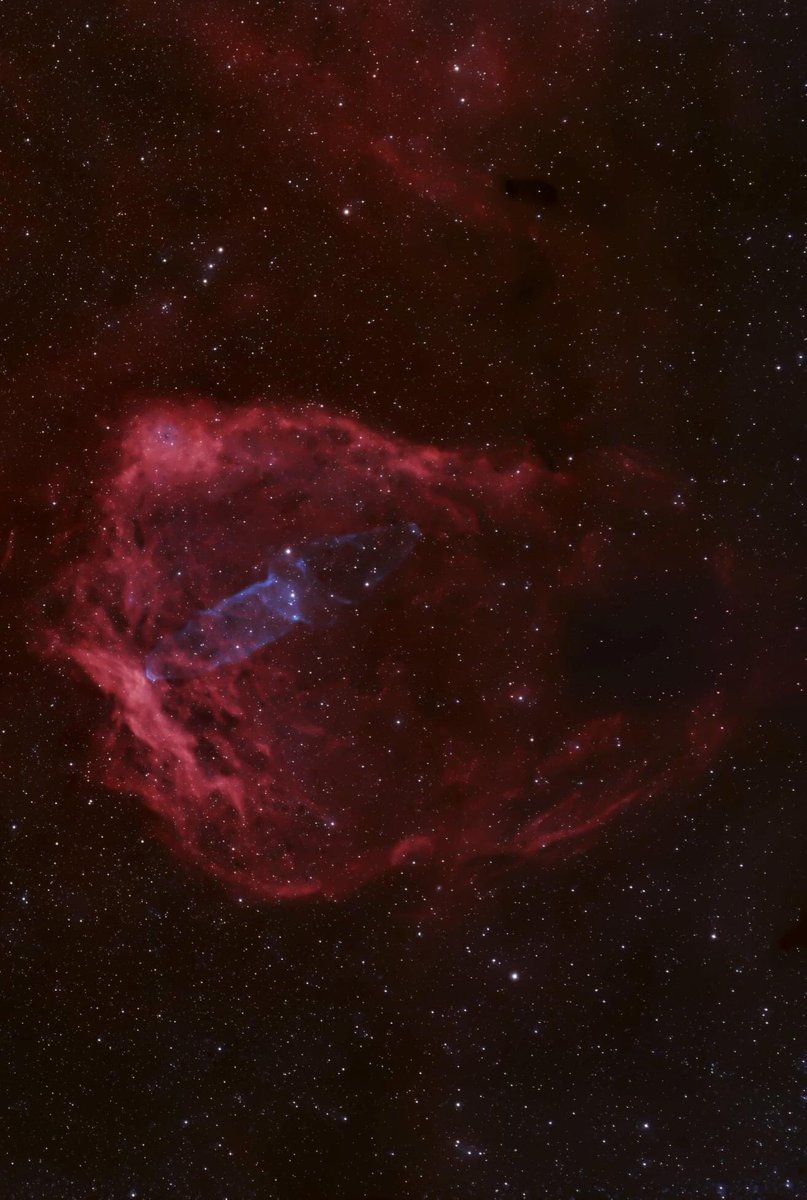 ⠀    ❝Nebulosa del Calamar❞.

ⓘ La enorme nebulosa del Calamar, catalogada como Ou4, es muy tenue. Con la nebulosa del Murciélago o Sh2-129, protagonizan esta escena cósmica en la constelación de Cefeo.