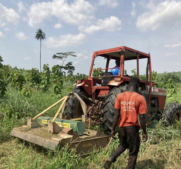 Mere Plantations tweet media