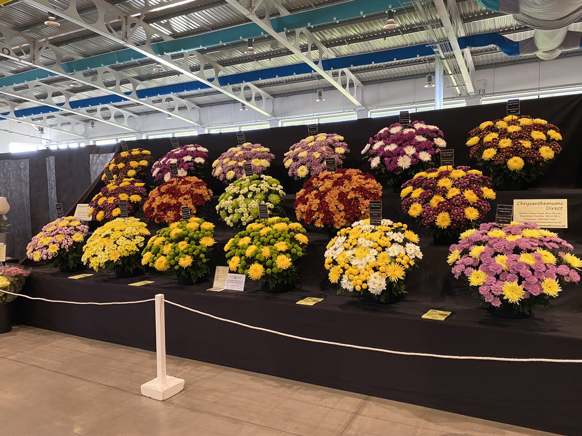 Acctivesolution's tweet photo. Weβre all ready @HarrogateFlower with #bemaslug #slugs #harrogte @BASF_Nemasys_UK @basf_pest_UK @HonestCommsUK @HelenPest https://t.co/Hl2fIbvrw9
