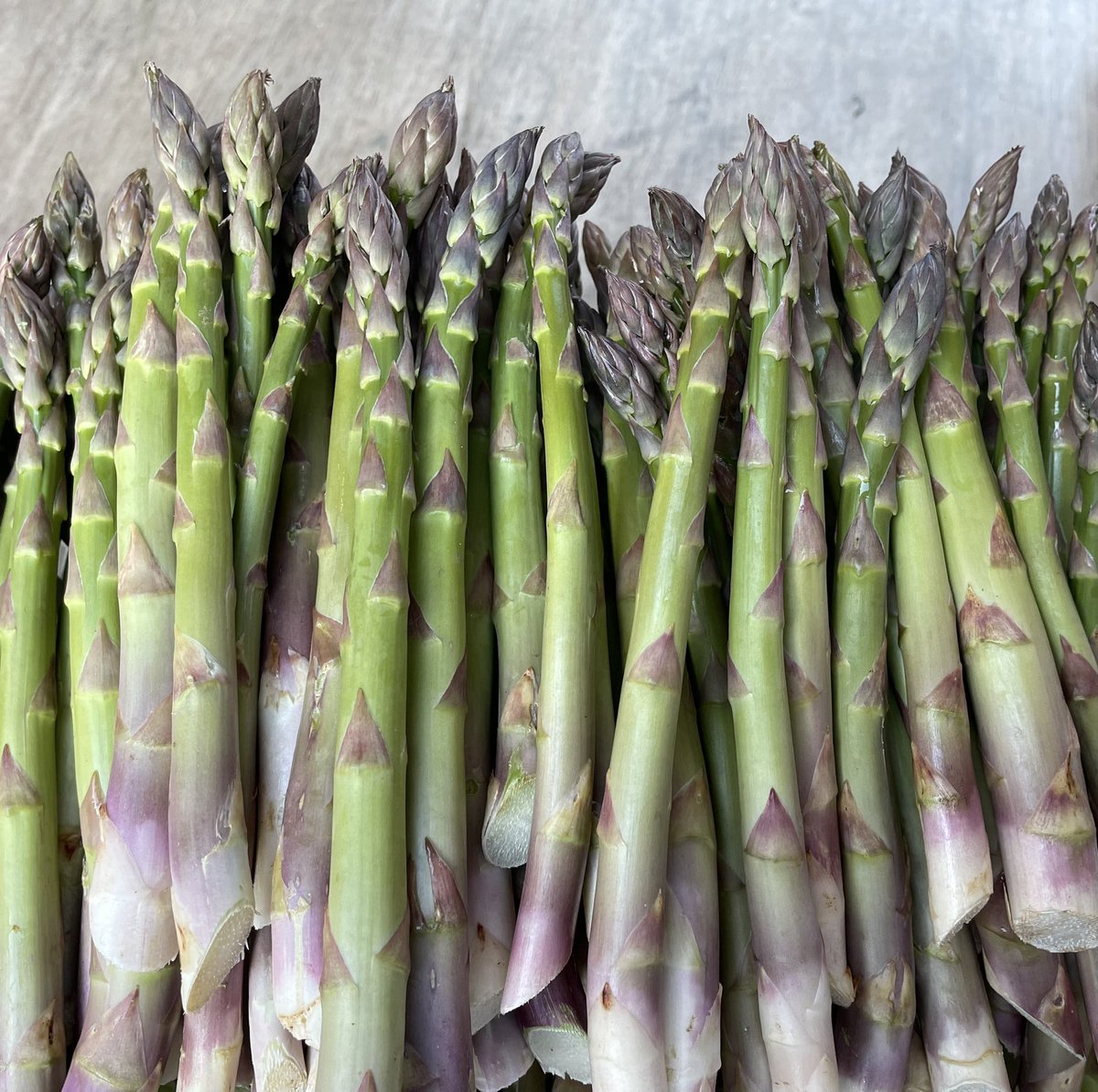 FoodFloat tweet media