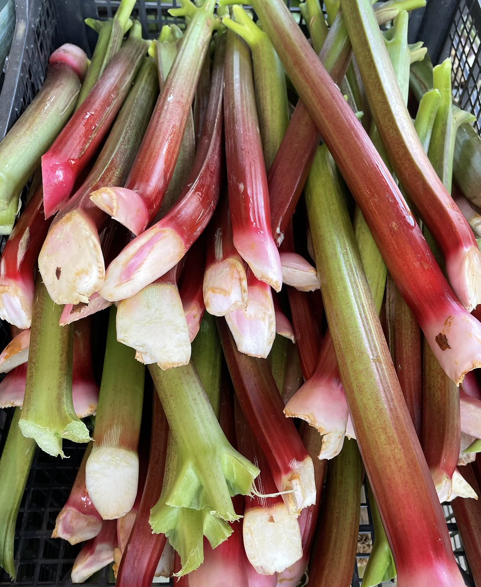 FoodFloat tweet media