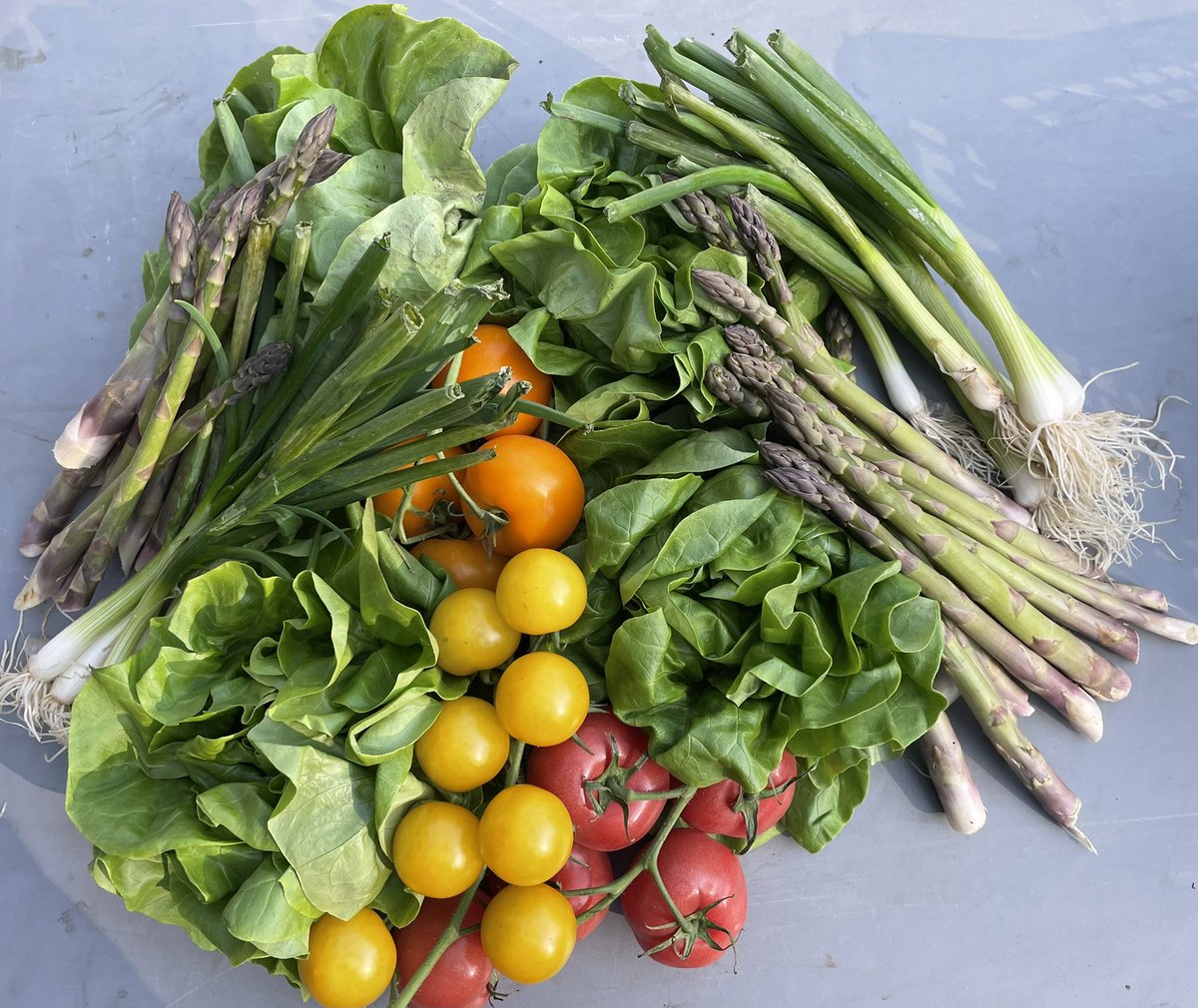 FoodFloat tweet media