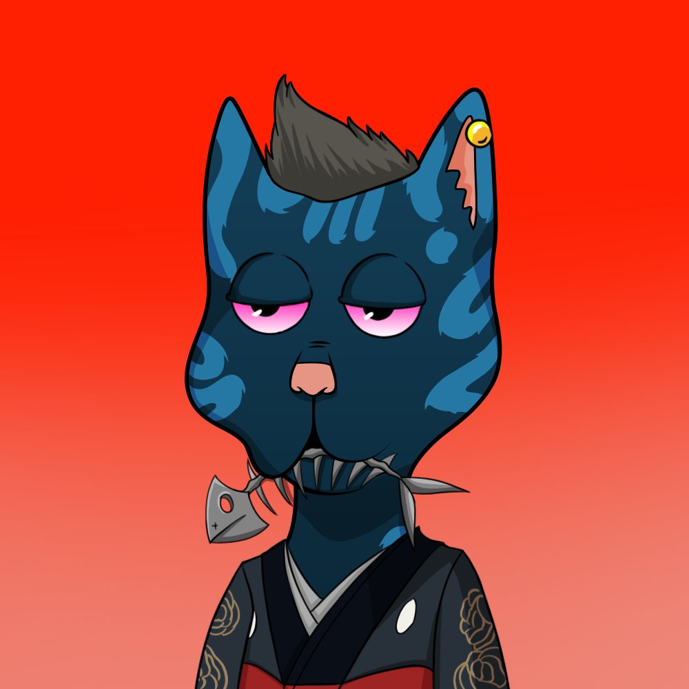 Boss Cat Rocket Club Sales tweet media