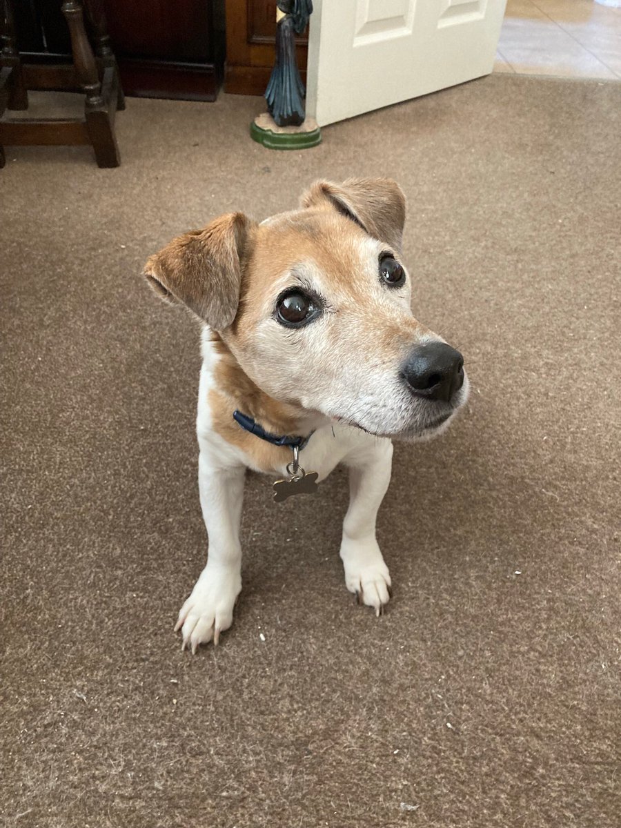 Baroness Bincombe 👑 tweet media