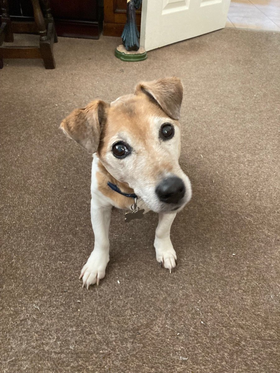 Baroness Bincombe 👑 tweet media