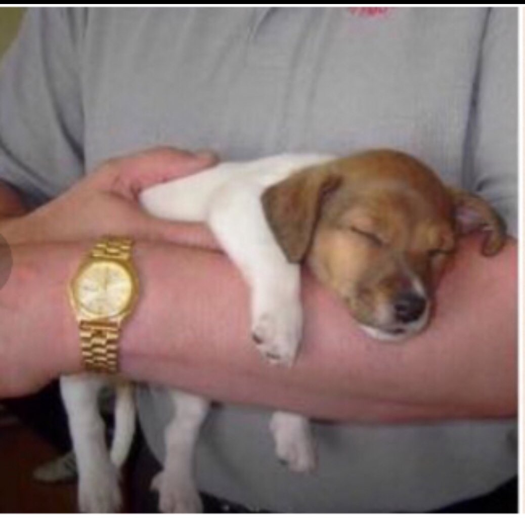 Baroness Bincombe 👑 tweet media