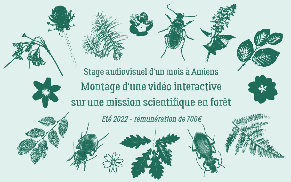 Eva Gril (@eva_gril) on Twitter photo Je recrute un stagiaire (payé) en audiovisuel pour cet été 2022 : montage d'une vidéo interactive "La mission scientifique en forêt dont vous êtes le héros"
🌳📹Faites tourner s'il vous plait!
Détails ici: echosciences-hauts-de-france.fr/annonces/offre…
<a href="/UPJV_Univ/">Université de Picardie Jules Verne</a> <a href="/UMR_EDYSAN/">EDYSAN</a> <a href="/ForMicroclimate/">IMPRINT 🌳</a> Je recrute un stagiaire (payé) en audiovisuel pour cet été 2022 : montage d'une vidéo interactive "La mission scientifique en forêt dont vous êtes le héros"
🌳📹Faites tourner s'il vous plait!
Détails ici: echosciences-hauts-de-france.fr/annonces/offre…
<a href="/UPJV_Univ/">Université de Picardie Jules Verne</a> <a href="/UMR_EDYSAN/">EDYSAN</a> <a href="/ForMicroclimate/">IMPRINT 🌳</a>