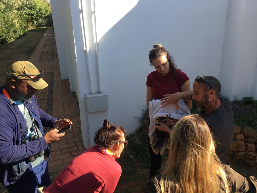 La revista alemana de ornitología Vögel publica un amplio reportaje sobre #Extremadura, “un destino de ensueño para muchos observadores de aves”. Su editora, Sylvia Koch, nos visitó en octubre en un viaje organizado por <a href="/birdextremadura/">BIRDING IN EXTREMADURA</a> y la Oficina de <a href="/Turespana_/">Turespaña Oficial</a> en Múnich. Hilo