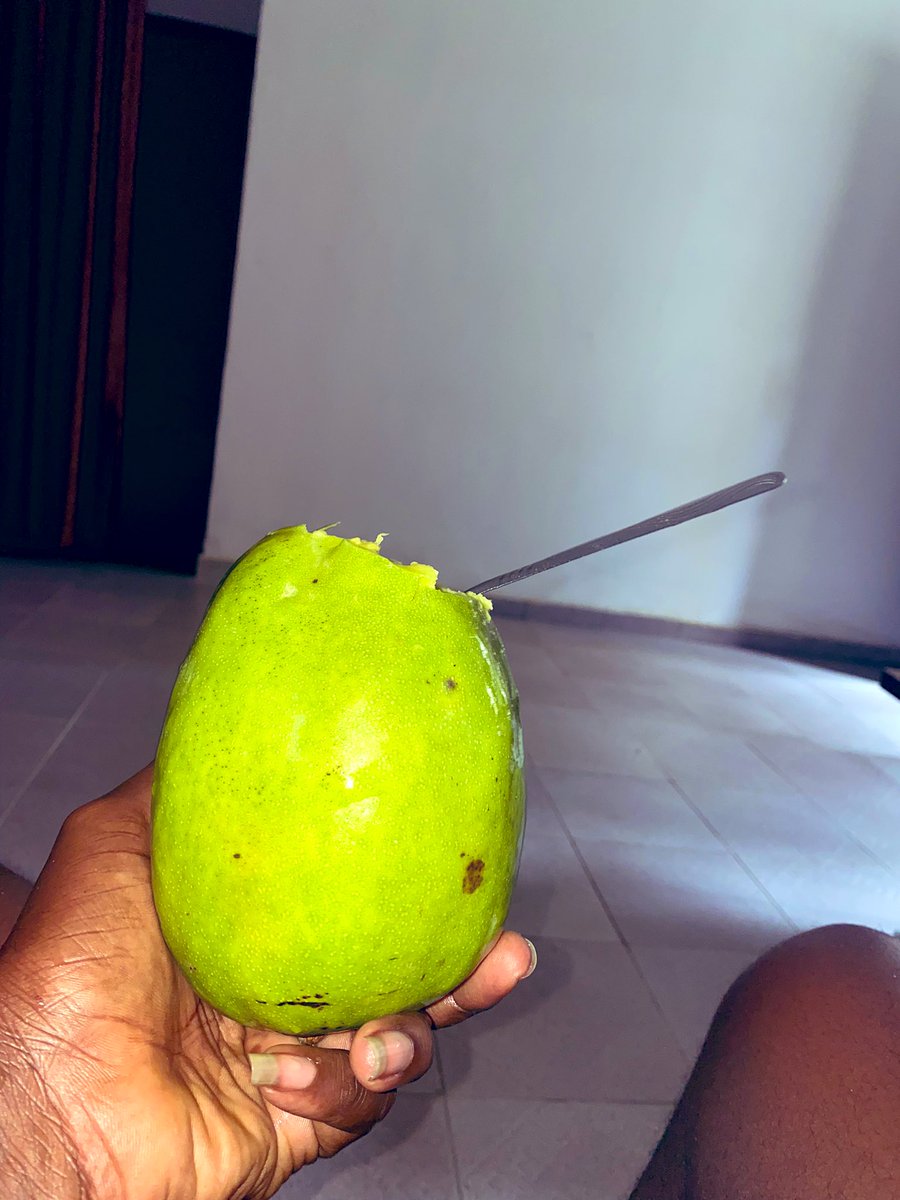 My friend in markurdi decide to send some food stuffs to me  part of this are this mangos, she said i should use a spoon to eat them , biggest mango ive seen. The biggest I’ve tasted , 😍