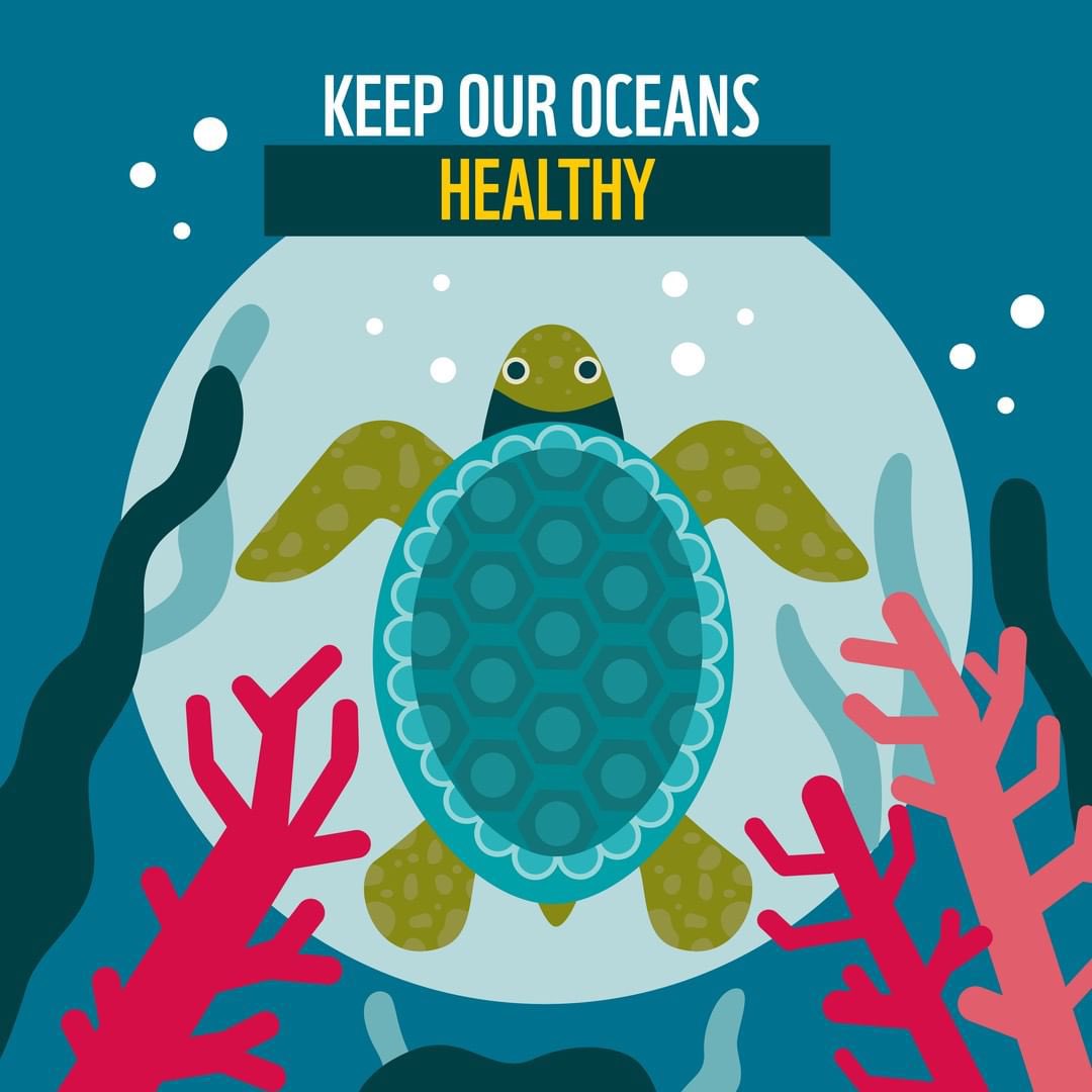 ebear_NFT's tweet photo. https://t.co/ipJBBeIl2R

#NFTs #ethereum #polygon #NoGasFees #opensea #NFT #NFTCommunity #NFTCollection #savetheworld #WWF #Greenpeace https://t.co/yfdfn5uFip