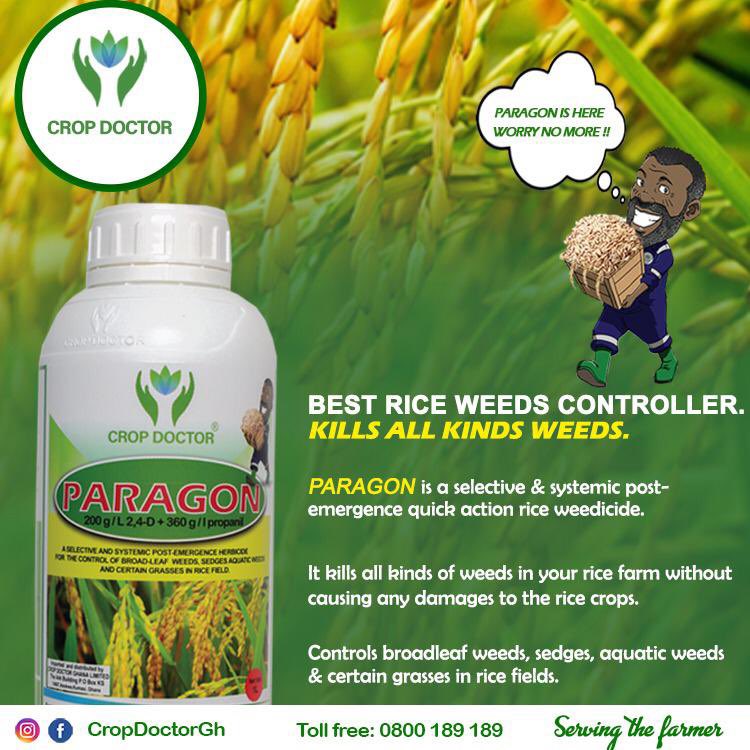 cropdoctorgh's tweet photo. Best Rice weeds controller. Paragon from Crop Doctor Ghana. #Agroinput #agriculture #ServingTheFarmer https://t.co/JW5Y5OQGEZ