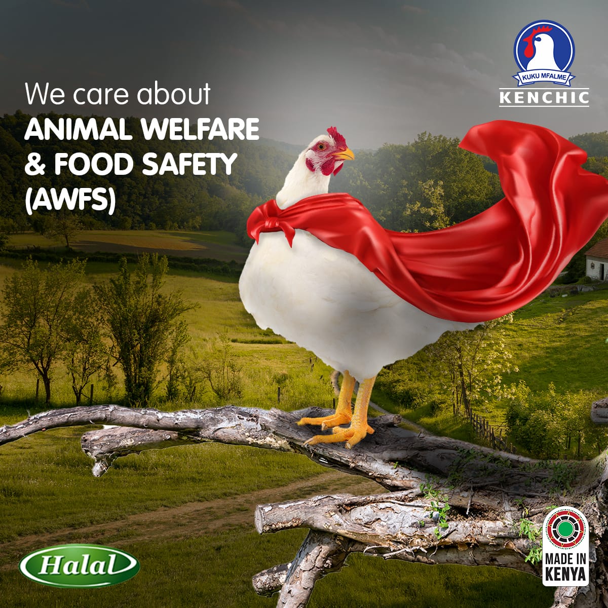 When it comes to Animal welfare and food safety one number entity in that area is <a href="/KenchicKenya/">Kenchic</a> which has been tested and certified not only in Kenya but across the globe