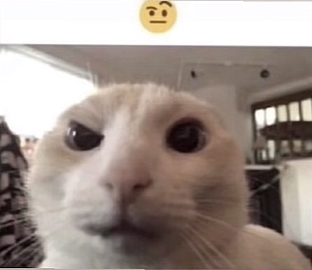 BladeTester's tweet image. Currently hearing a podcast were people talk about pregnant cartoon characters , and discord kittens