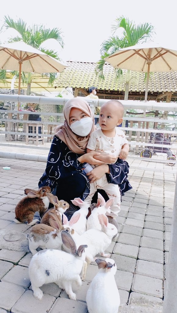 Haikal dan kelinci (Maret 2022)