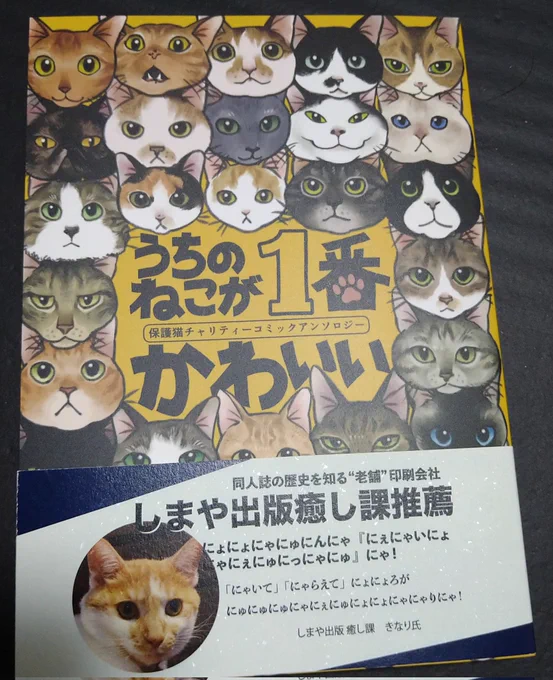 保護猫チャリティー猫ちゃんアンソロに参加しています😺純利益は全額保護団体に寄付されます

#チャリティー猫アンソロ (@catAnthology)

通販はこちら➡https://t.co/bSwBXgOP95 https://t.co/hkK5L77nal 