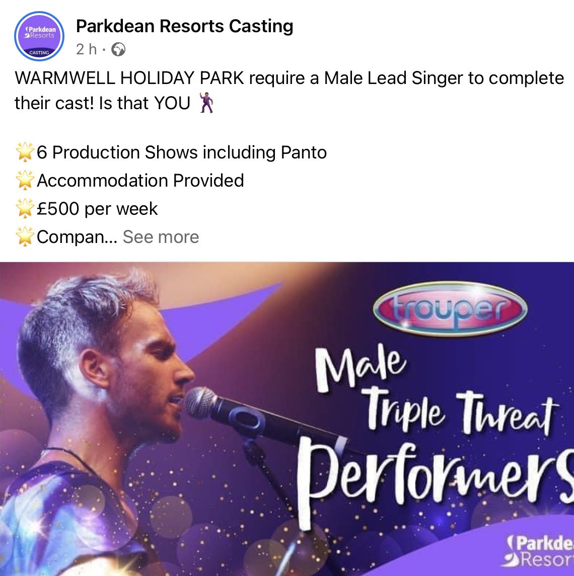 Holiday Entertainment tweet media