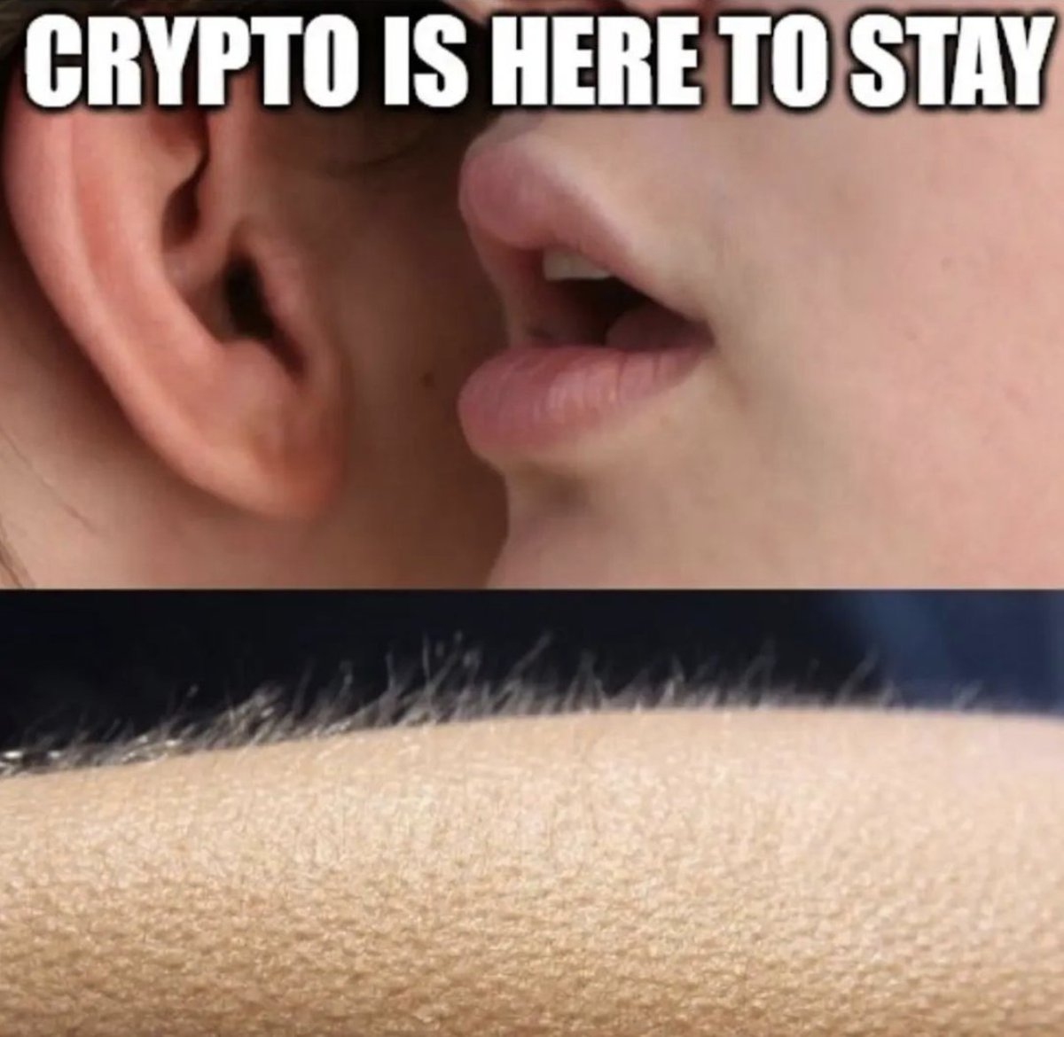 kucoincom's tweet photo. https://t.co/YUk3m2qXG9