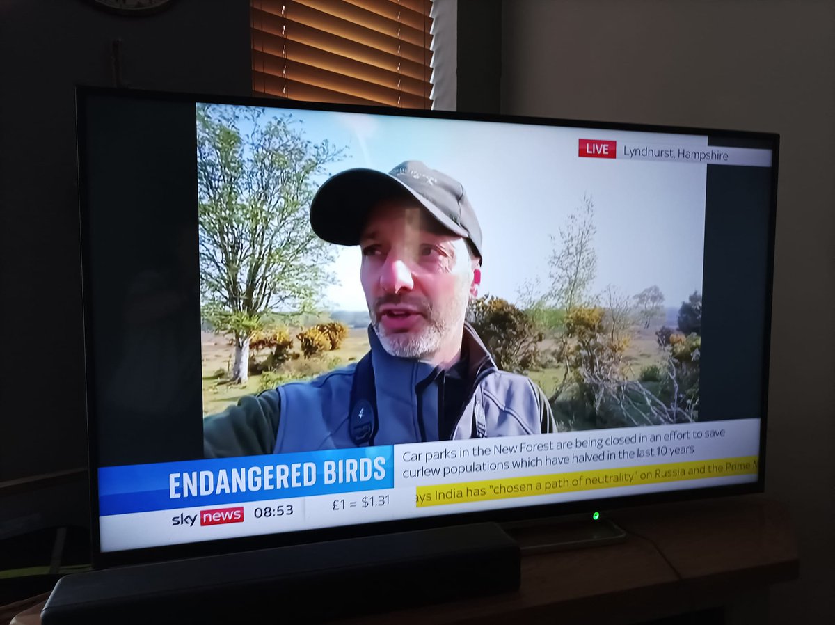 Just back from a couple of hours in the field to check on my local pair of New Forest Curlews, followed by a live interview with Sky News highlighting the role of seasonal car park closures in reducing recreational disturbance in this protected landscape. #WorldCurlewDay2022