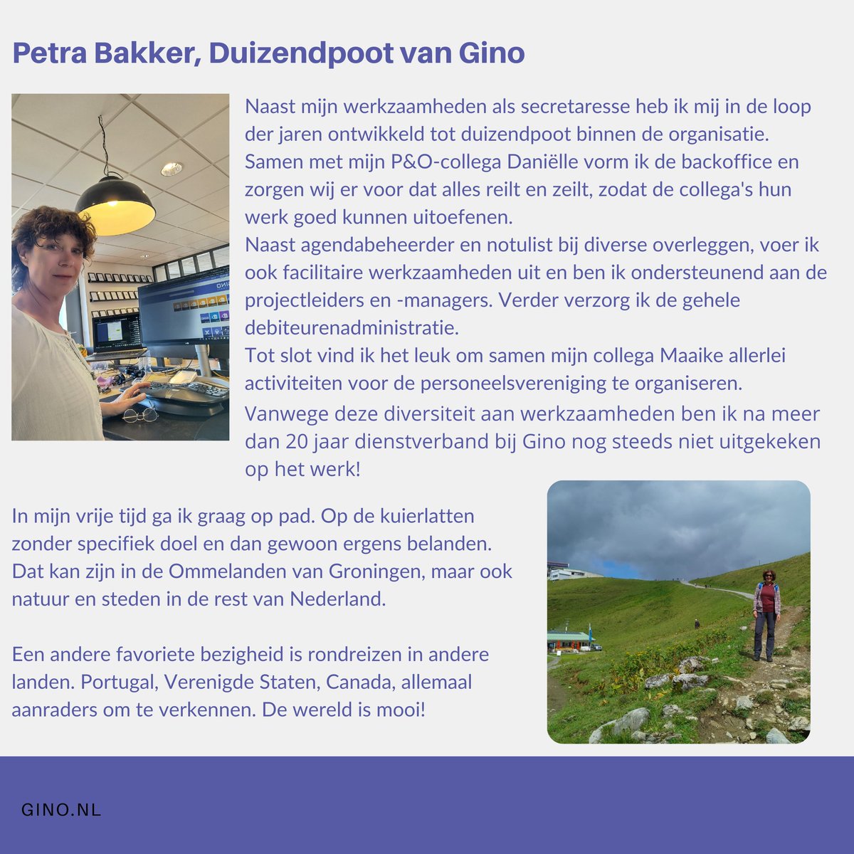 Gino Software tweet media