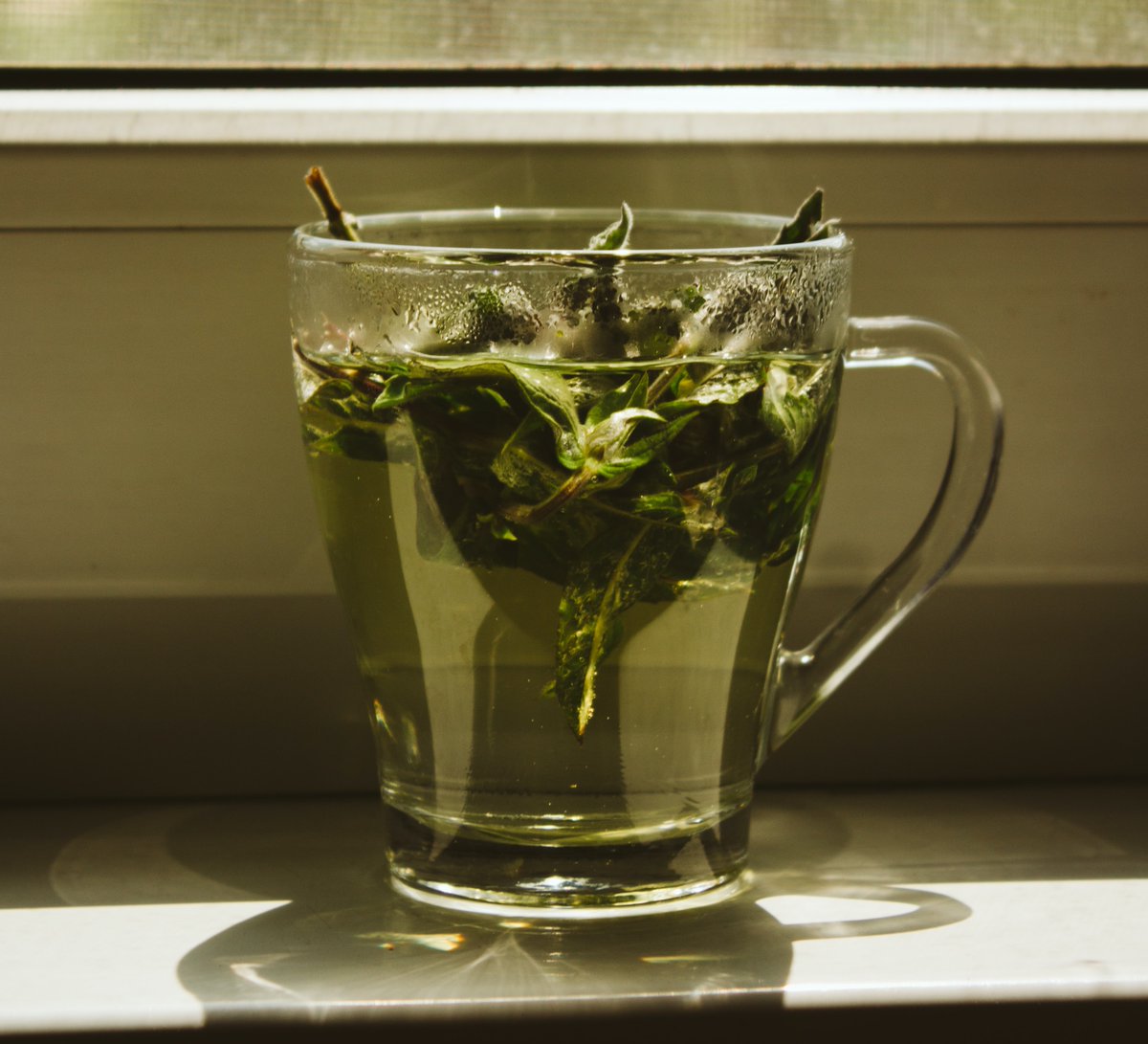 Is green tea or green tea extract beneficial before exercise? @jeukendrup bit.ly/2moTAic