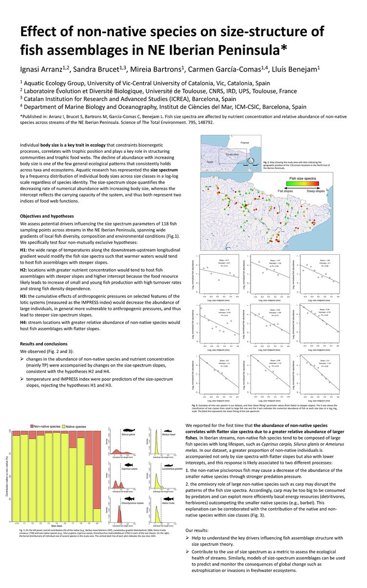 UVicAquatic's tweet photo. We present a poster “Effect of non-native species on size-structure of fish assemblages in NE Iberian Peninsula” in the Congreso Ibérico sobre Especies Exóticas Invasoras @GEIB_invasoras @unav @museoCCNN @LifeInvasaqua #EEI #EEI2022 #SizeEcoFun @UDivulga @UVic_FCT https://t.co/k2sSSRDWeZ