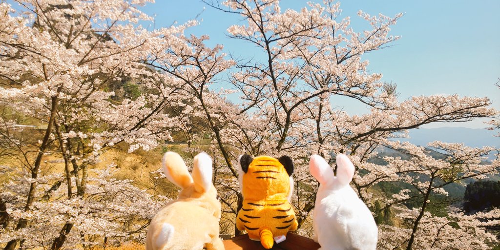 rrrrichdog_miya's tweet photo. 明日、リッチドッグとずっと一緒にYouTubeを盛り上げてくれてた
つーちゃん
の卒業回です。

心から、ありがとう御座いました🌸

#リッチドッグ https://t.co/4467t2qdvo