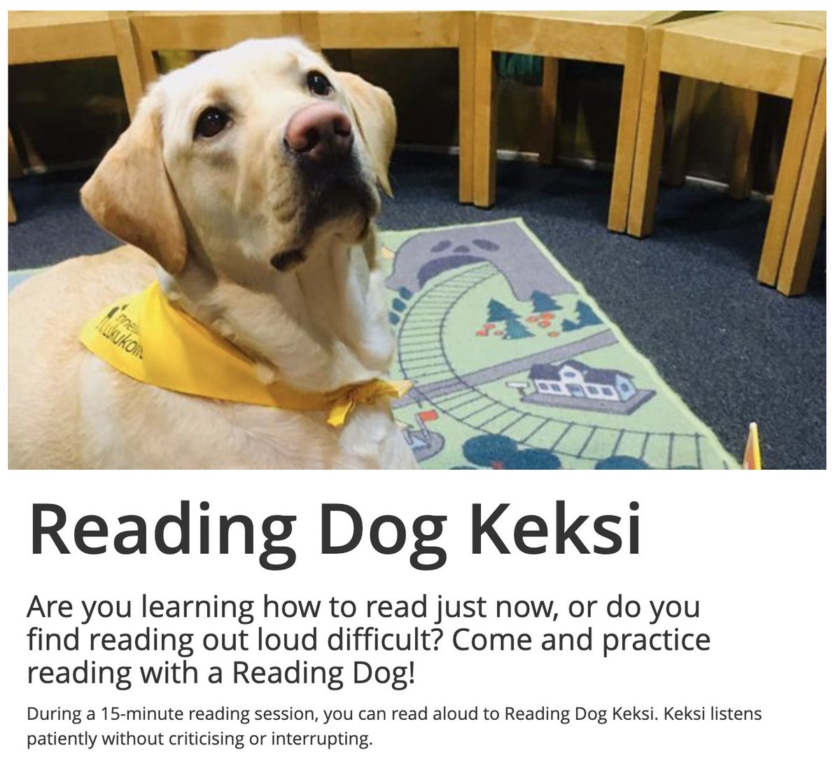 My heart is melting... @HelMet_kirjasto is doing it right! #readingdog