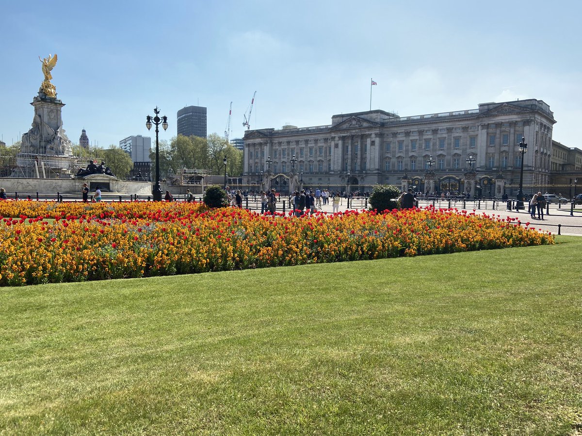 🇬🇧 ¡Día espectacular en Londres! ☀️🎥 #BuckinghamPalace #QueensBirthday