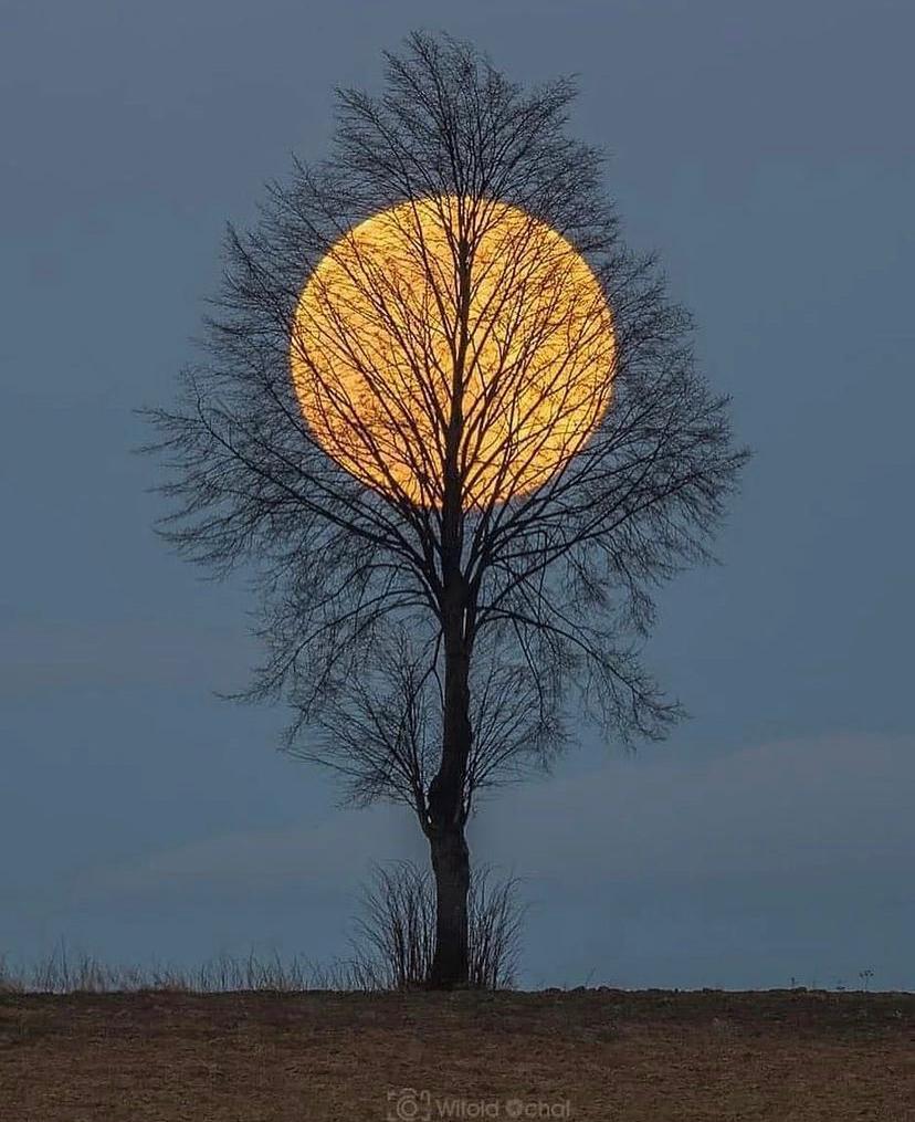 আসসালামু আলাইকুম

প্রিয় রোজাদার ভাই ও বন্ধুগণ

কেমন আছেন সবাই?

          শুভরাত্রি