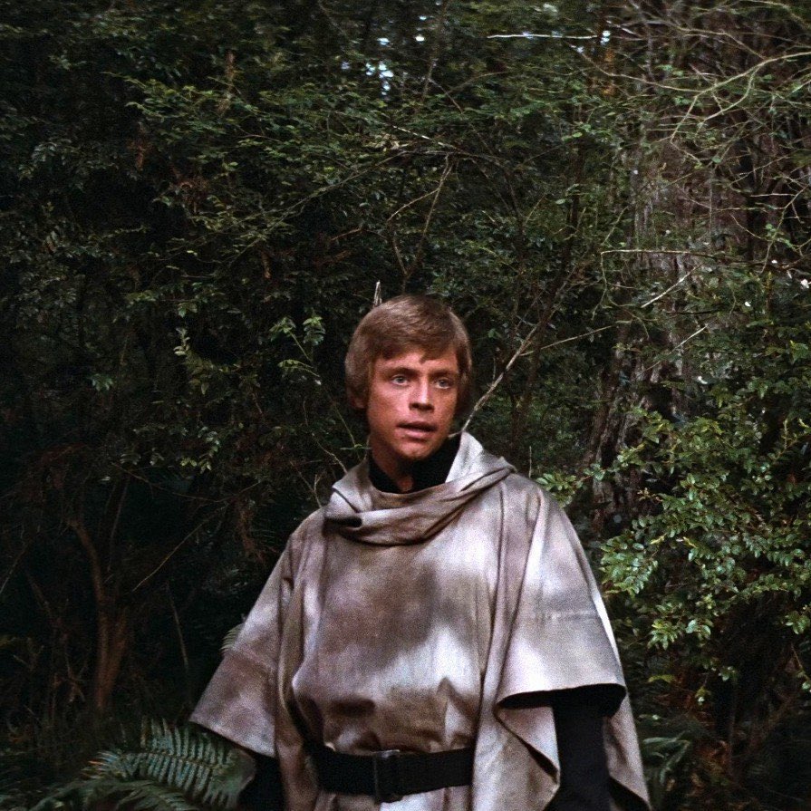 "Always Sunny On Scarif"😎 tweet media