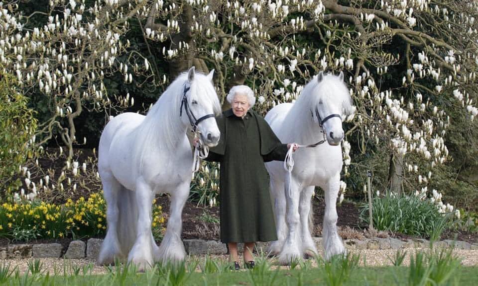 AboyneGames's tweet photo. Wishing Her Majesty The Queen a very Happy 96th Birthday from everyone at Aboyne Highland Games https://t.co/5eUt3vEg0y
