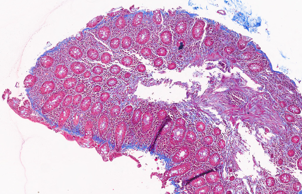 Jorge Fernández tweet media