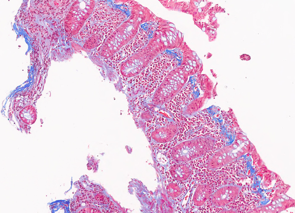 Jorge Fernández tweet media