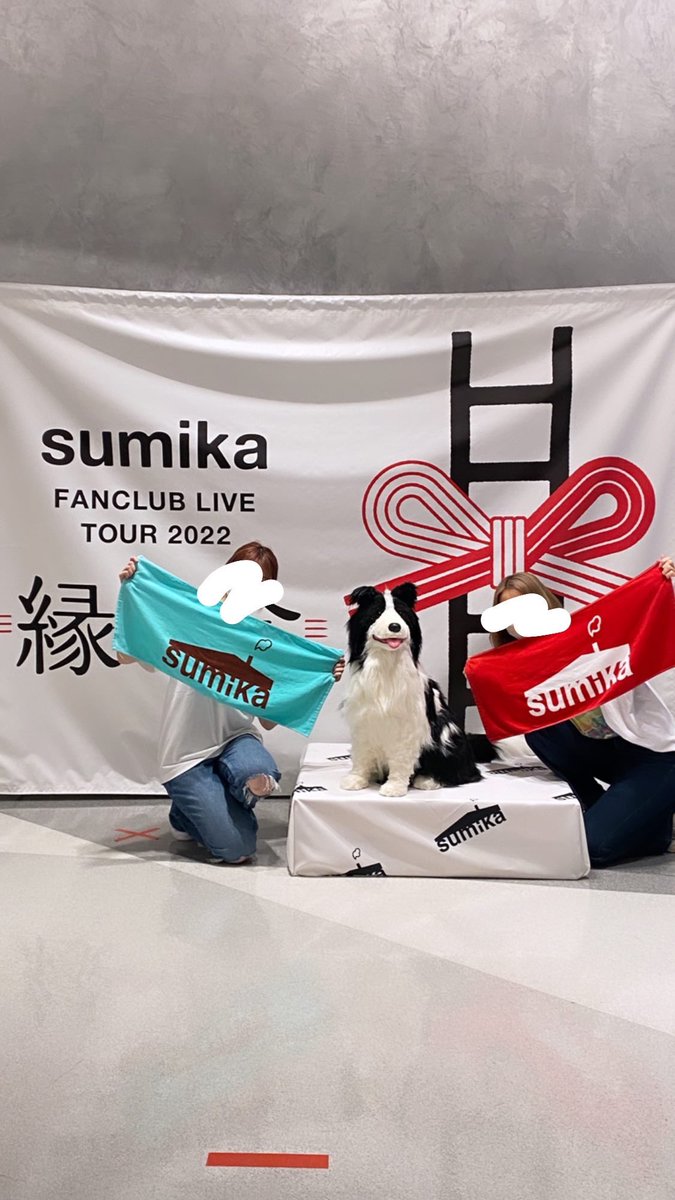 ありす tweet media