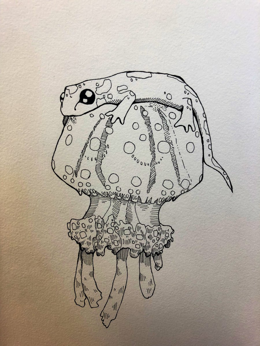 zeiraok's tweet photo. 🦎🐙 https://t.co/Ks8MbNgMJV