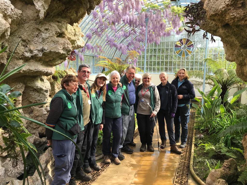 Our Wisteria is in flower! 

This great shot of the garden team and volunteers was taken in the stunning Grotto &amp; Fernery yesterday. The scent in there is amazing - don’t miss it! 🌸

#SWISSGARDEN #rhspartnergarden #GreensandCountry #bedfordshiregardens #scentedgarden #wisteria