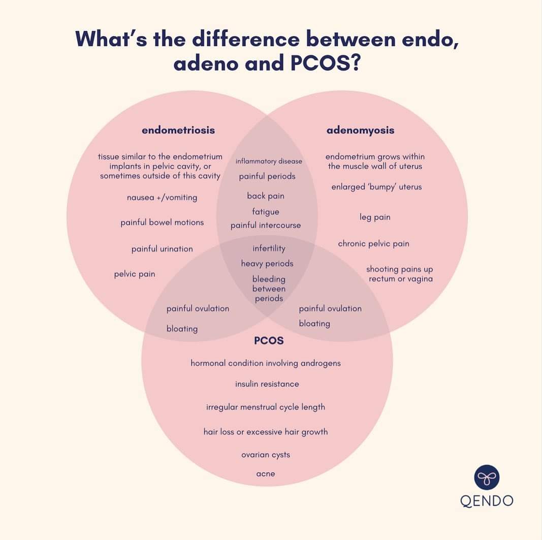 Differences between Endo, adeno and PCOS. 

#endometriosis #endo #endoawareness #adenomyosis #adenomyosisawarenessmonth #adenoawareness #adeno #PCOS #womenshealth #sisterhood #chronicillness #chronicpain #pelvicpain #menstruation #speakup